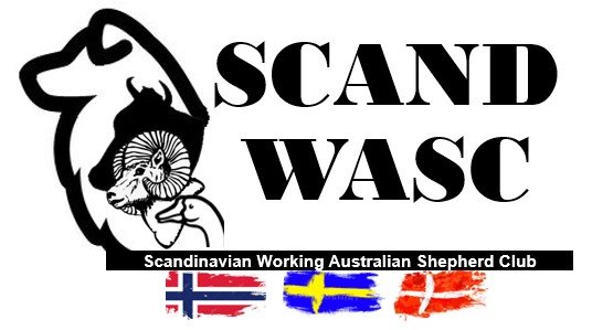 Scandinavian Working Australian Shepherd Club 